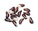 Gourmet Food : APPALOOSA BEANS, 12 oz