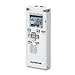 214321: WS-450S Digital Voice Recorder and Mass Storage Device (N2280121)