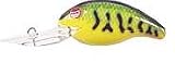 Rebel Wee "R" Shallow Diver
