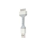 Fruitshop BONE LINK�iWhite�j AP06011-W