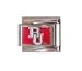 terrier20 - Boston University Terriers Charm NCAA College Athletics Fan