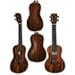 Kala KA-GATU-C Golden Acacia Thinline Travel Concert Ukulele w/ Bag