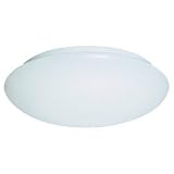 Sea Gull Lighting 59055BLE-15 Holly - Three Light Close to Ceiling Flush Mount, White Finish with Acrylic Glass