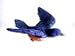 Blue Bird Window Magnet