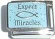 Clearly Charming Expect Miracles Italian Charm Bracelet Link