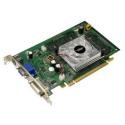 PNY Verto GeForce 8500GT 512MB Video Card