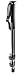 Manfrotto 681B Professional Aluminum Monopod (Black)