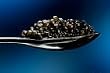 American White Sturgeon Osetra Caviar 'Malossol' - 35.2 oz/1 kg.. (FREE OVERNIGHT DELIVERY)