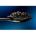 American White Sturgeon Osetra Caviar