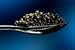 Gourmet Food : American White Sturgeon Osetra Caviar 'Malossol' - 7 oz/200 gr.. (FREE OVERNIGHT DELIVERY)