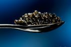 American White Sturgeon Osetra Caviar 'Malossol' - 14 oz 400 gr..(Free Overnight... by Apilcina