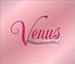 VENUS~BEST GIRL-HITS of the WORLD