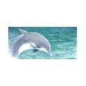 Dolphin - Milk chocolate with cherries, 12 Units 3.2 oz by Endangered Species