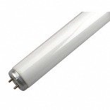 GE 15W 18 Fluo Bulb
