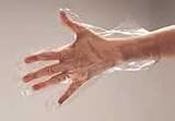 Clear Polyethylene Food Handling Gloves - Medium (GLX370M)