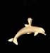Dolphin Cremation Urn Jewelry