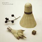Grand Salvo - The Temporal Wheel (Audio CD) - B000BR6E9S
