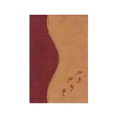 Soft-Touch Visual Reference Bible: King James Version/ World's Visual Reference System/Tan Footprints Soft Touch