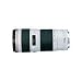 Canon EF 70-200mm f/4L USM Telephoto Zoom Lens for Canon SLR Cameras