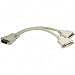 Cables Unlimited DVI-D Splitter Cable (PCM-2260)