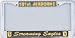 101st Airborne License Plate Frame (Chrome Metal)