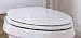 Porcher 70012 Daydream Round Front Toilet Seat with Polished Brass Hinges - 70012