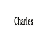 Clearly Charming Charles RED HEART Laser Name Italian Charm Link