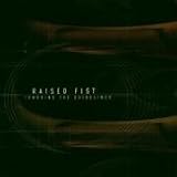 Raised Fist -  Ignoring the Guidelines