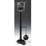 Review WAYNE HOME EQUIPMENT  / Wayne Pumps 3/10Hp Pedestal Sump Pump PTU30