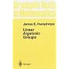 Linear Algebraic Groups (Graduate Texts in Mathematics)