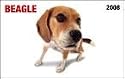 Beagle In Your Face! 2008 Wallet Calendar