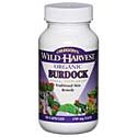 Burdock - 90 caps