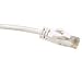 Cables To Go - 27162 - 7ft CAT6 550Mhz Snagless Patch Cable White
