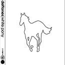 White Pony by  Deftones 