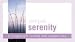 Book Simple Serenity: A Coupon Gift to Help and Support You (Coupon Collections)