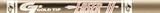 10 laser ii raw bolts 22 - gold tip llc - l2br22