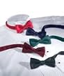 Adjustable Band Bow Ties