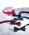 Bow Ties - Adjustable Band