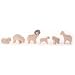 Spielwaren : Ostheimer 66030 - Schafgruppe, 6-teilig - Minis mit Geschenkkiste, 6 Teile