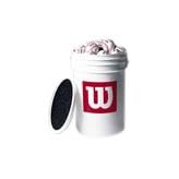 Wilson A 1030B Bucket of Baseballs (3-dozen baseballs)