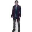 - Vampire Diaries Standup~ Damon Salvatore ~ Life Size Stand up ~ Size 23 X 72