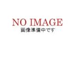 エンジン計器用ライト グリーン 2"用