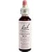Bach Chestnut Bud (1 x 20 ML)