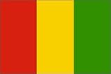 Guinea Flag Polyester 3 ft. x 5 ft.