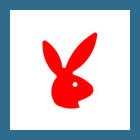 Review Body Stickers  / 1 Roll Bunny Body Tanning Stickers 1000