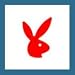 1 Roll Bunny Body Tanning Stickers 1000