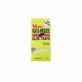 Outdoor Living : Victor Rat Glue Trap