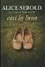 CASI LA LUNA (Paperback)