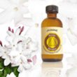 Jasmine Scented Oil Bonus Size 120 Ml 11JvNFKnZDL. SL160 Jasmine Scented Oil Bonus Size 120 Ml