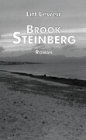 Produkt-Bild: Brook Steinberg. Roman (Book on Demand)